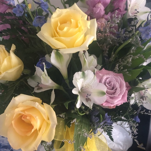 Meet your Posher, Elizabeth - Picture 1 of 1